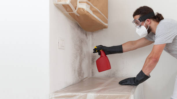 Professional Mold Cleanup technician working in Manhasset, NY